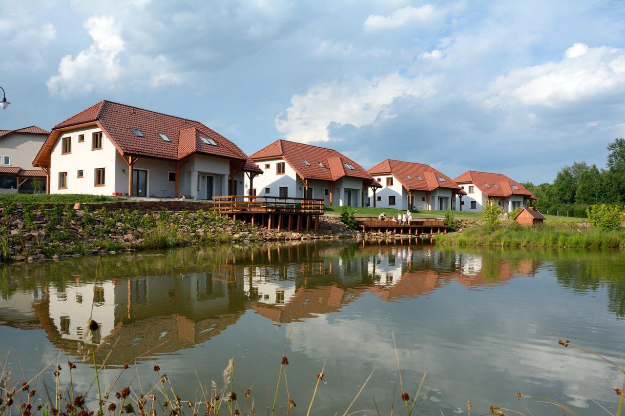 Swietokrzyska Polana - Medical Resort Chrusty Dış mekan fotoğraf
